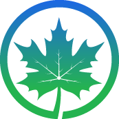 Key Olive Tree Removal